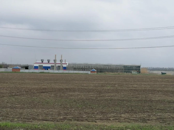 Тепличный комплекс "Калининский", Краснодарский край, ст-ца Калининская